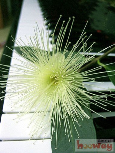 网友分享在meiguo.com的图片