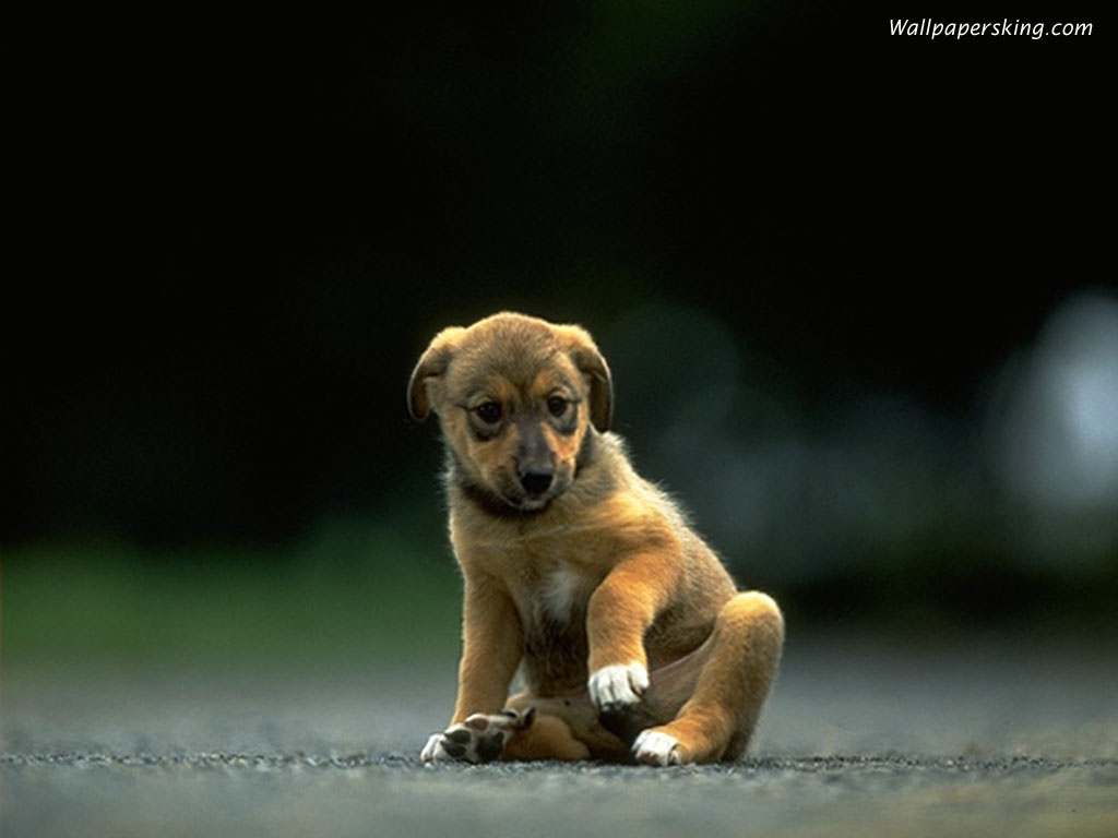 分享在 meiguo.com 上的图片