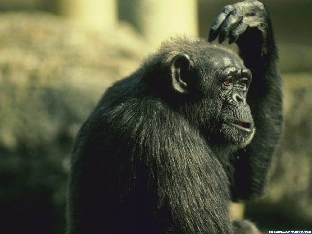 分享在 meiguo.com 上的图片