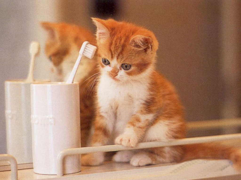 分享在 meiguo.com 上的图片