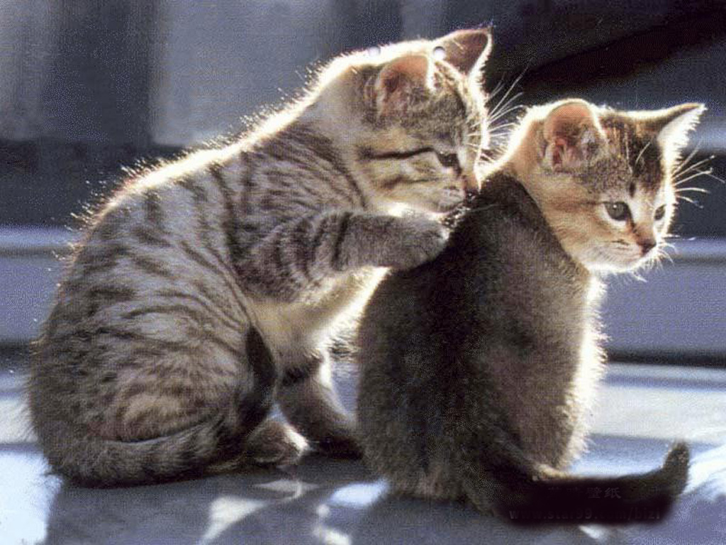 分享在 meiguo.com 上的图片