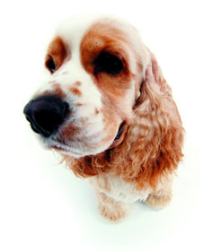 分享在 meiguo.com 上的图片