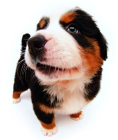 分享在 meiguo.com 上的图片