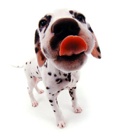 分享在 meiguo.com 上的图片