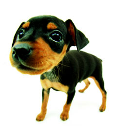 分享在 meiguo.com 上的图片