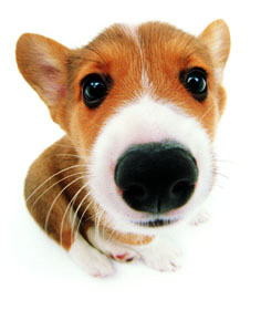 网友分享在meiguo.com的图片