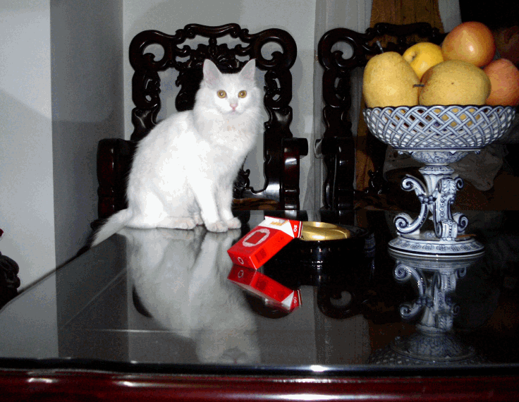 网友分享在meiguo.com的图片