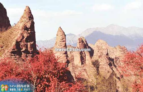 网友分享在meiguo.com的图片