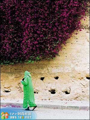 分享在 meiguo.com 上的图片