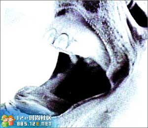 网友分享在meiguo.com的图片