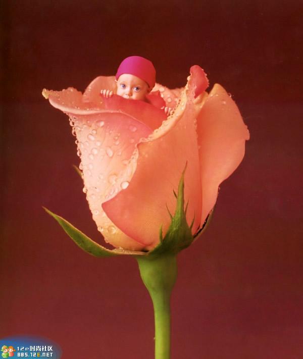 分享在 meiguo.com 上的图片