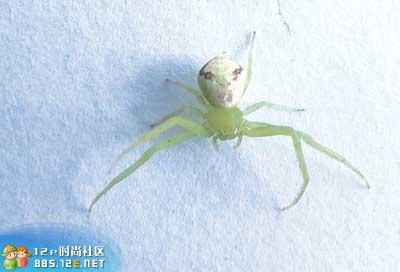 网友分享在meiguo.com的图片