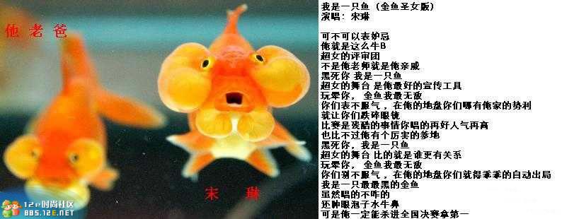 网友分享在meiguo.com的图片