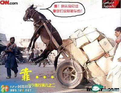 分享在 meiguo.com 上的图片