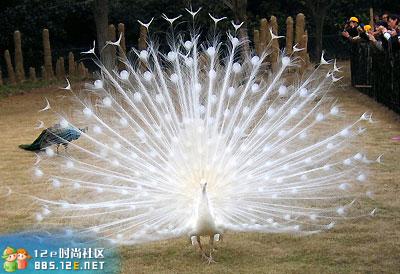 网友分享在meiguo.com的图片