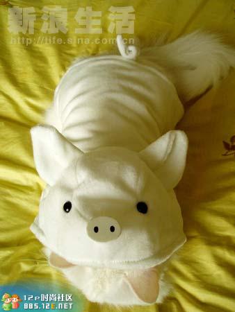 网友分享在meiguo.com的图片