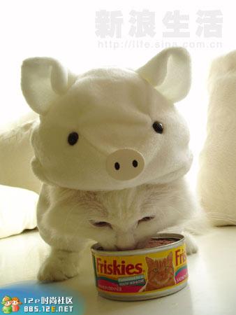 网友分享在meiguo.com的图片