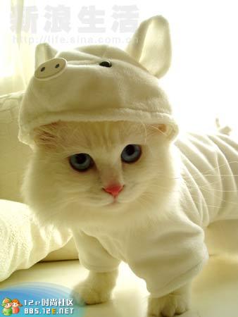 网友分享在meiguo.com的图片