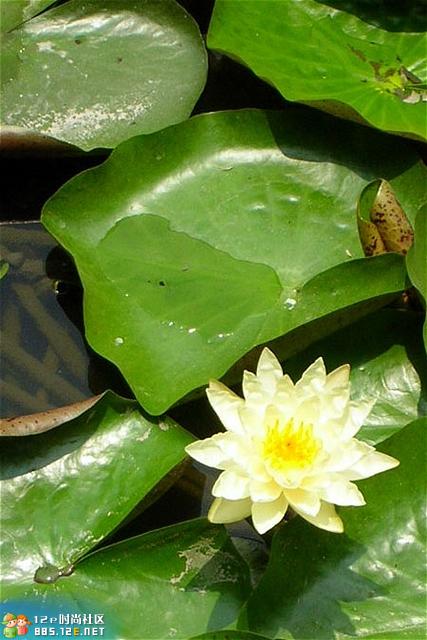 分享在 meiguo.com 上的图片