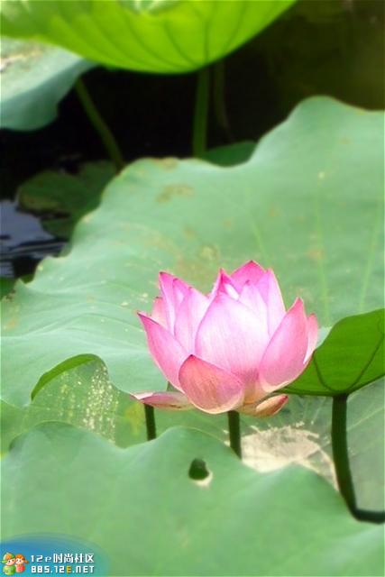 网友分享在meiguo.com的图片