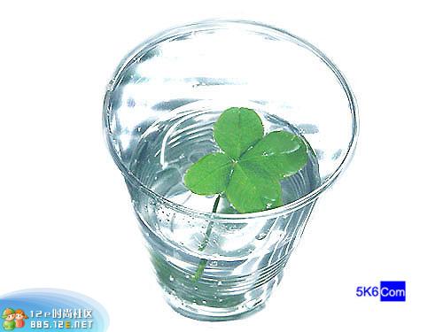 分享在 meiguo.com 上的图片