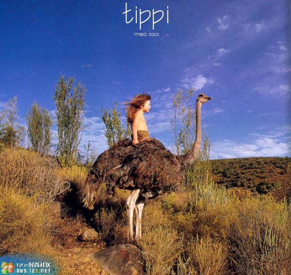 分享在 meiguo.com 上的图片