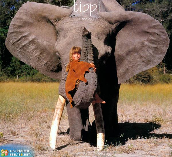 网友分享在meiguo.com的图片