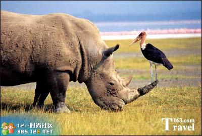 网友分享在meiguo.com的图片