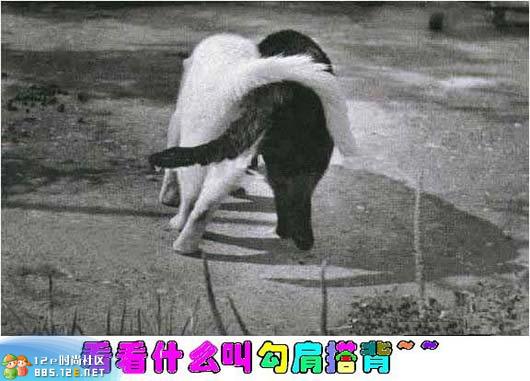 分享在 meiguo.com 上的图片