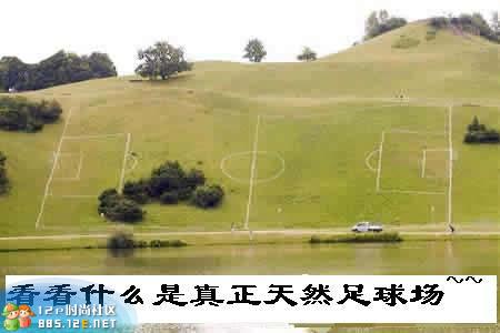 网友分享在meiguo.com的图片