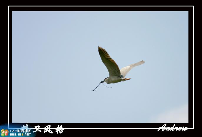 分享在 meiguo.com 上的图片