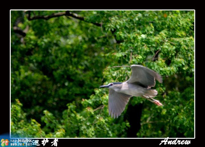 分享在 meiguo.com 上的图片