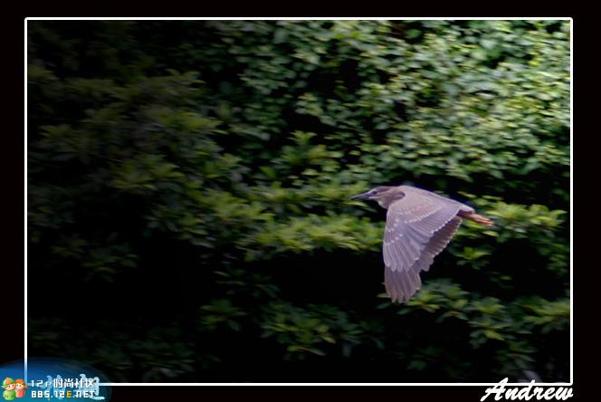 分享在 meiguo.com 上的图片