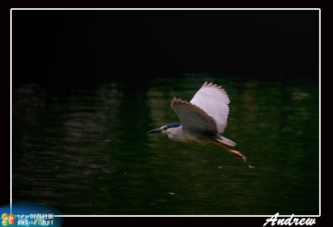 分享在 meiguo.com 上的图片