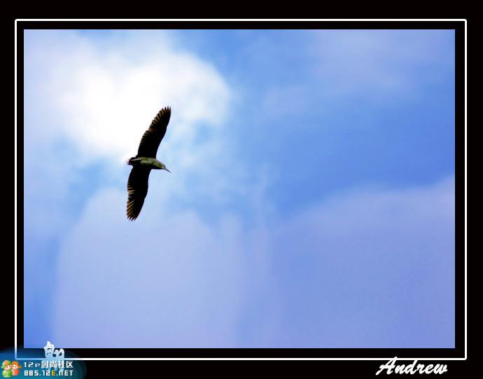 分享在 meiguo.com 上的图片