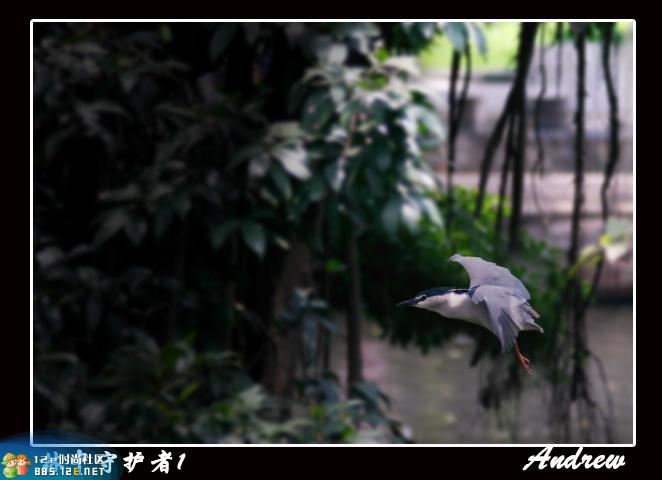 分享在 meiguo.com 上的图片