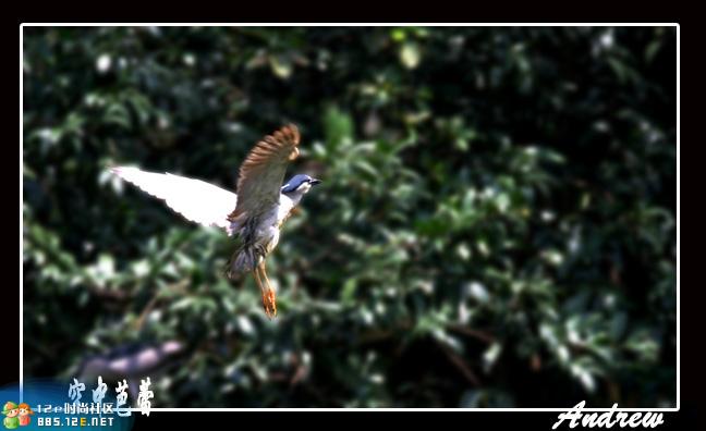 分享在 meiguo.com 上的图片