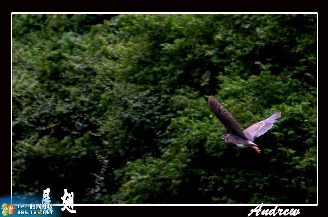 分享在 meiguo.com 上的图片