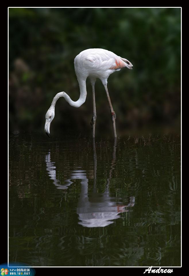 分享在 meiguo.com 上的图片