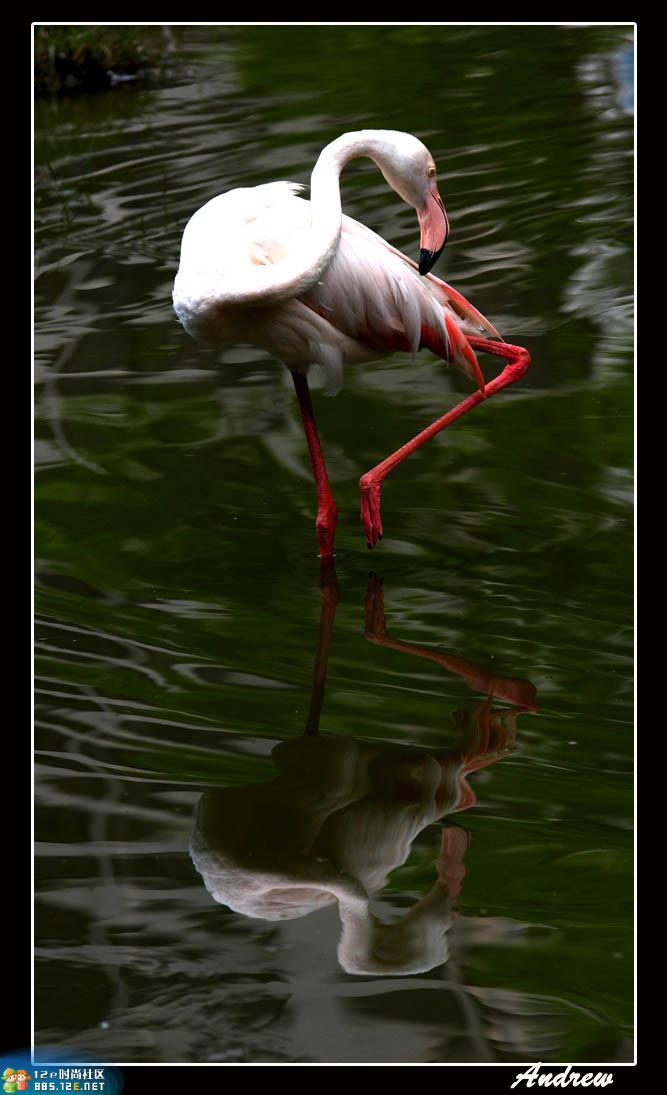 分享在 meiguo.com 上的图片