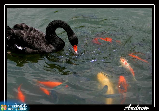 分享在 meiguo.com 上的图片