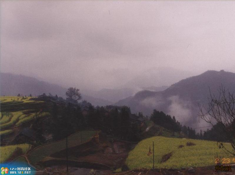 分享在 meiguo.com 上的图片