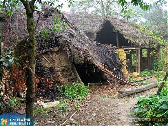 分享在 meiguo.com 上的图片