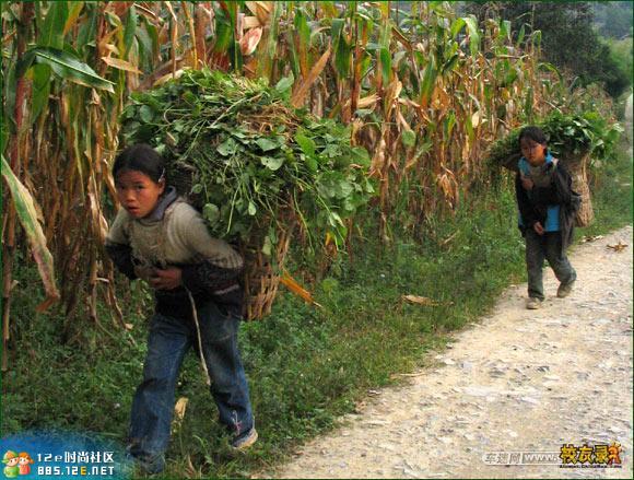 网友分享在meiguo.com的图片