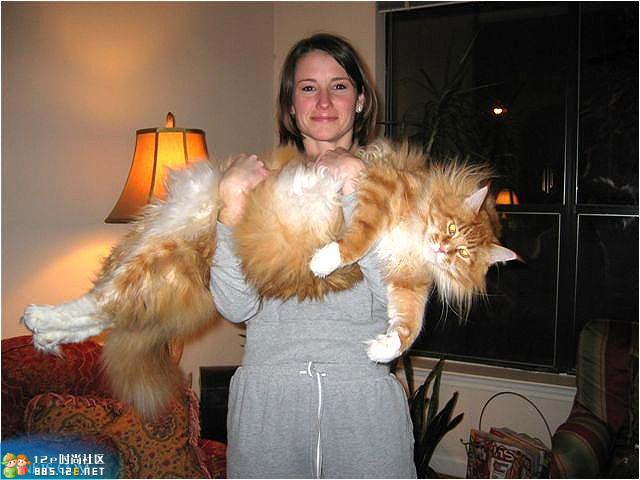 网友分享在meiguo.com的图片