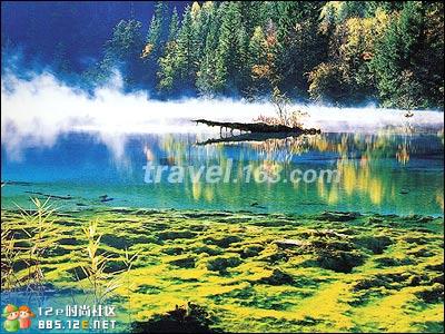 分享在 meiguo.com 上的图片