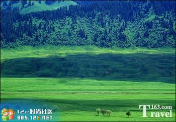 网友分享在meiguo.com的图片