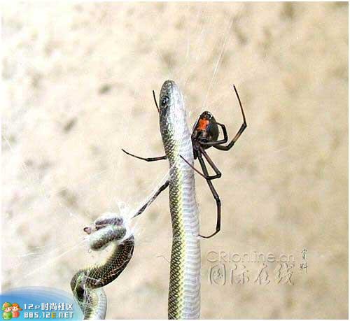 网友分享在meiguo.com的图片