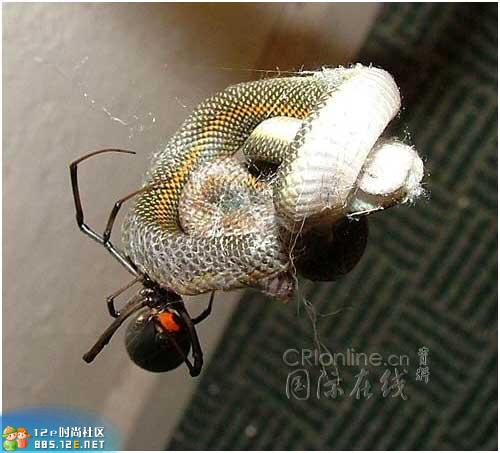 网友分享在meiguo.com的图片