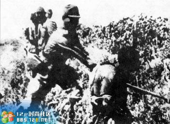 网友分享在meiguo.com的图片